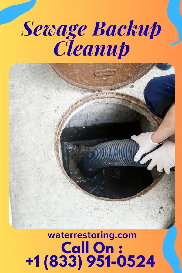 Sewage Backup Cleanup in Milford, MI