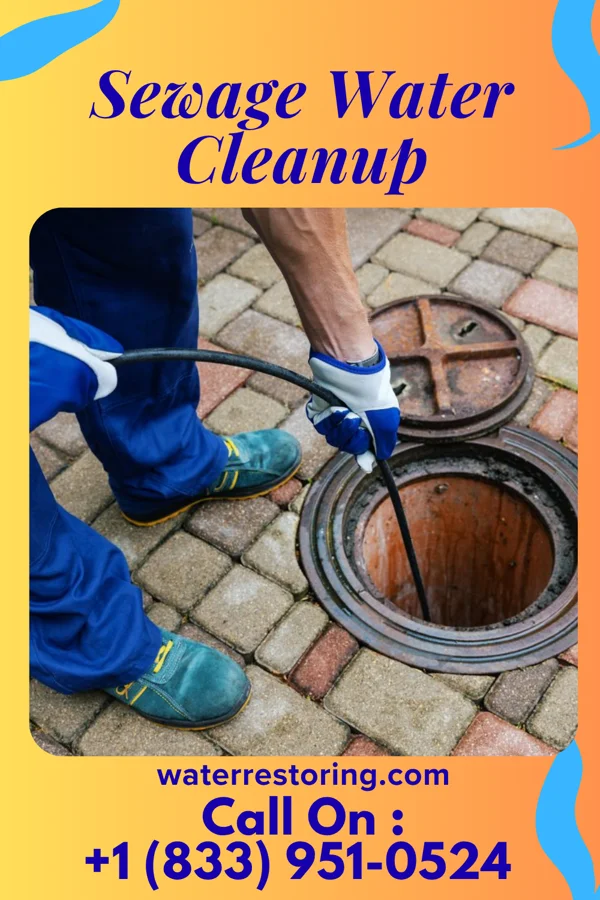Sewage Water Cleanup in Milford, MI
